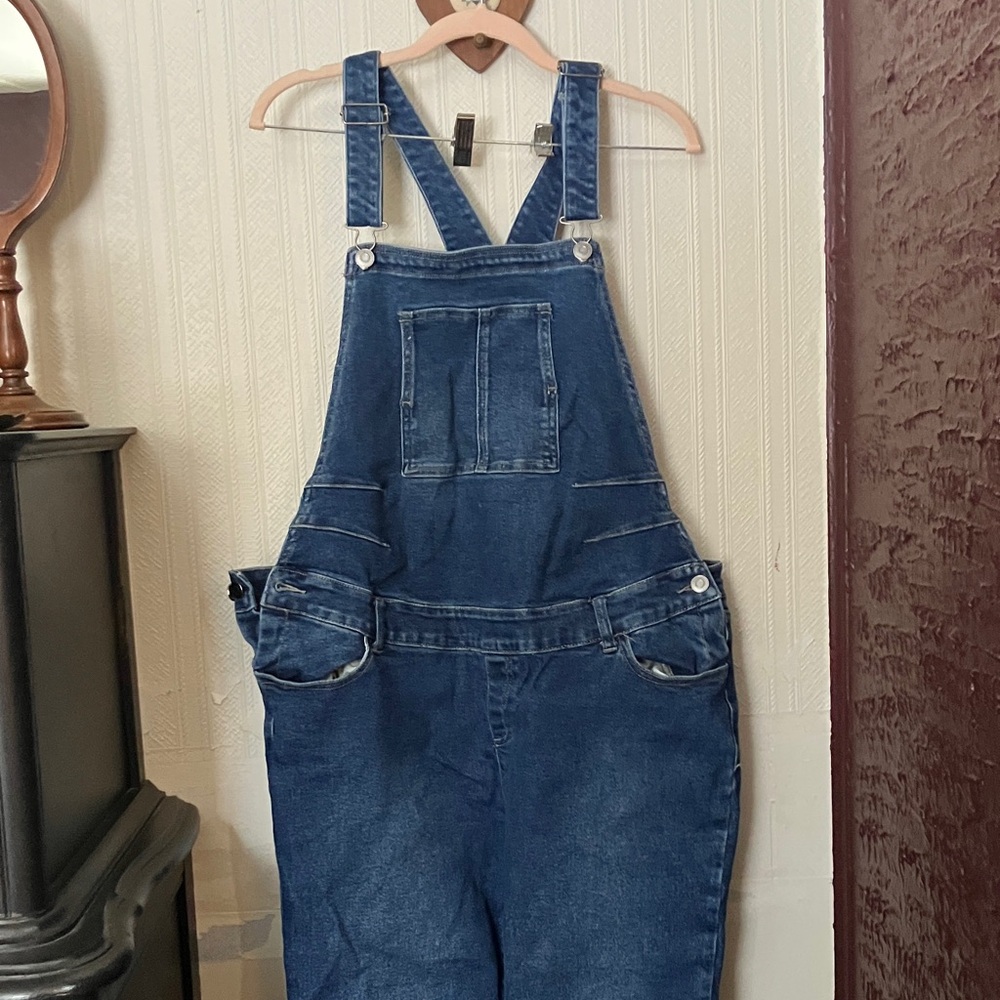 Denim Overalls